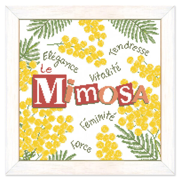 Lilipoints-le-MIMOSA