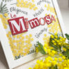 Lilipoints-le-MIMOSA – Image 2