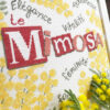 Lilipoints-le-MIMOSA – Image 4