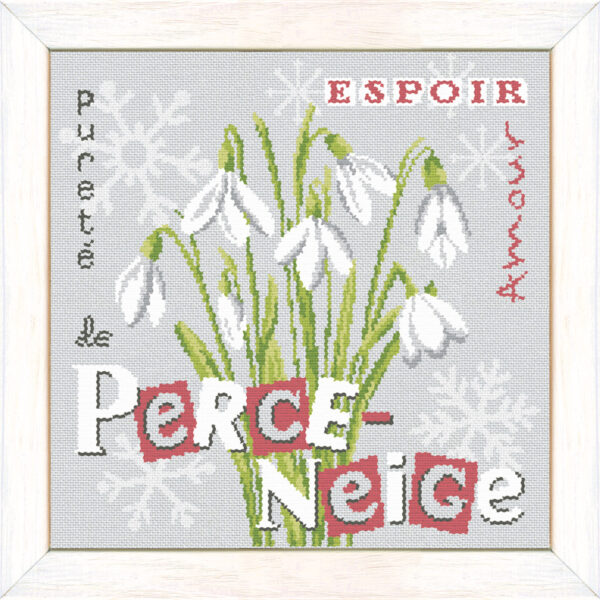 Lilipoints-le-PERCE-NEIGE