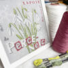 Lilipoints-le-PERCE-NEIGE – Image 2