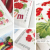 Lilipoints-le-GERANIUM – Image 3