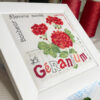 Lilipoints-le-GERANIUM – Image 2