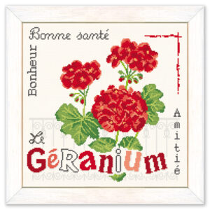 Lilipoints-le-GERANIUM
