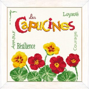 Lilipoints-les-CAPUCINES