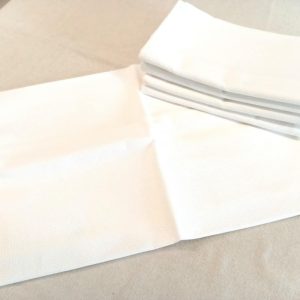 Coussin rectangulaire blanc  30 x 50 (housse) aida 5 pts (Copie)